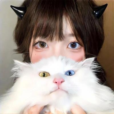 斗牛与美人